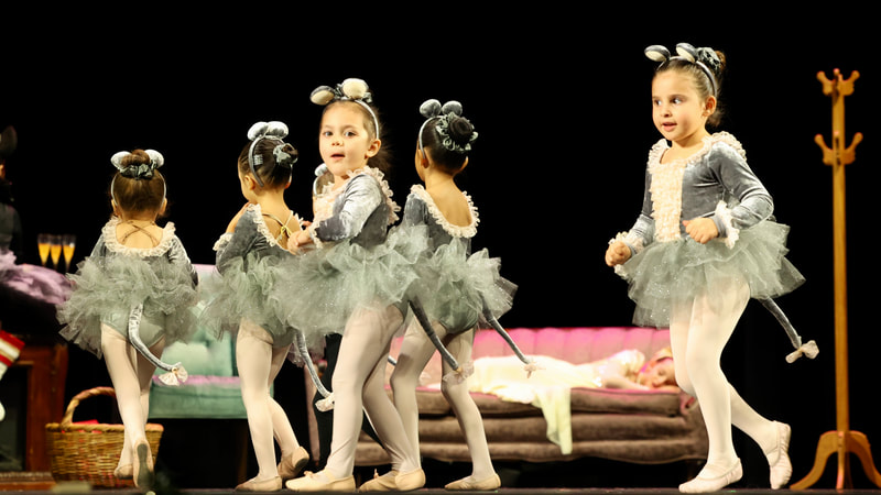 Nutcracker 2023 - photo 26
