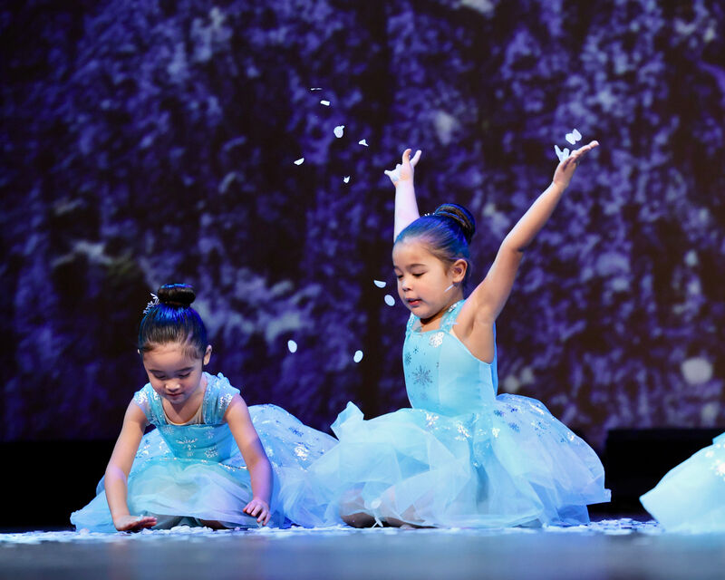 Nutcracker 2025 photo 1