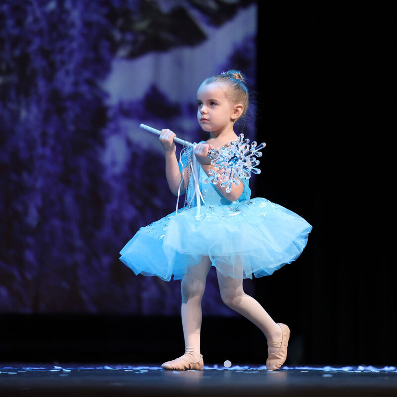 Nutcracker 2025 photo 9