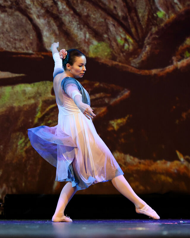 Nutcracker 2025 photo 11