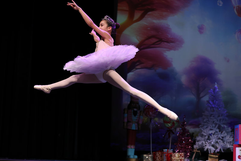 Nutcracker 2025 photo 67