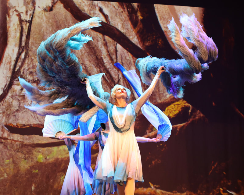 Nutcracker 2025 photo 100